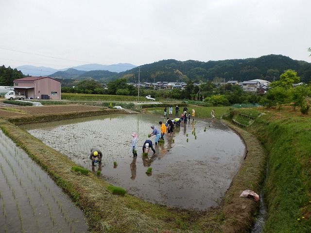 上から