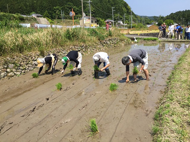 田植え