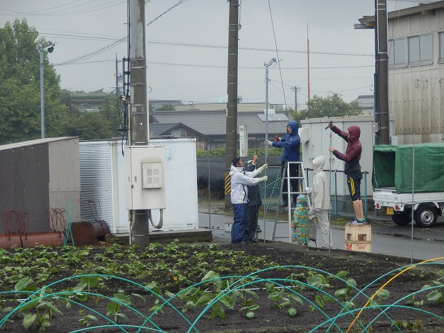 杭打ち