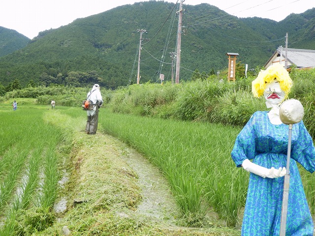 草刈り　カカシ