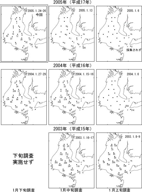 ボンゴネットによるイカナゴ仔魚採集量