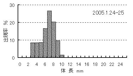 採集されたイカナゴ仔魚の体長組