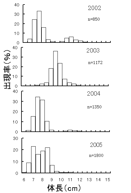 夏眠魚の体長組成