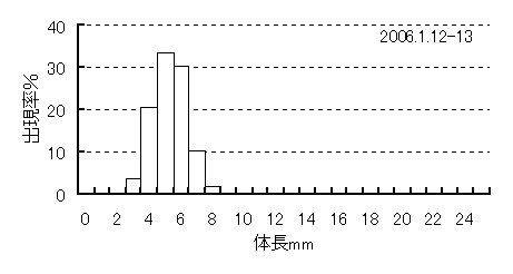 採集されたイカナゴ仔魚の体長組