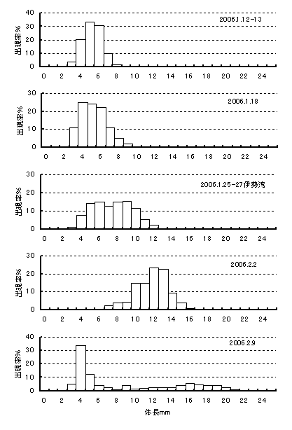 採集されたイカナゴ仔魚の体長組成