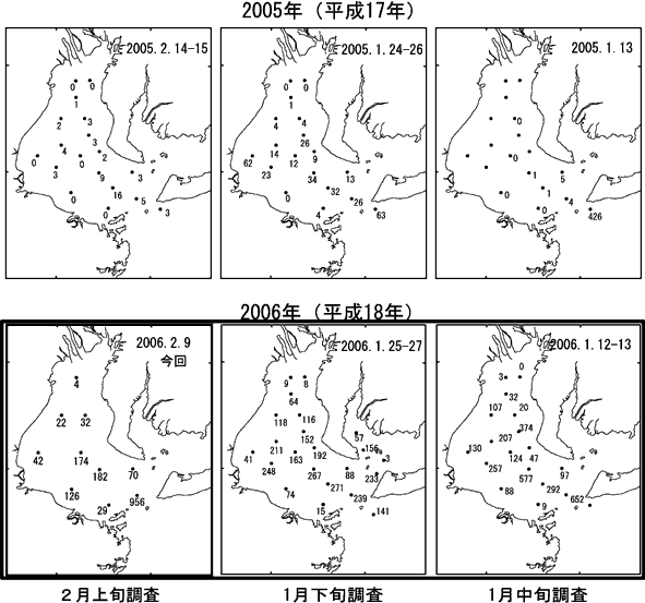 ボンゴネットによるイカナゴ仔魚採集量