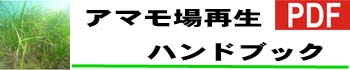 アマモ場再生ハンドブック　