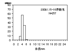 湾内体長頻度分布