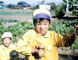 おみせやさん、今ごろどんなやさいやさかながならんでいるかな？