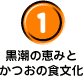 黒潮の恵みとかつおの食文化