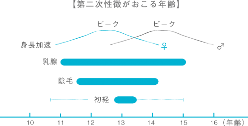 【第二次性徴がおこる年齢】の図