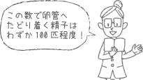 この数で卵管へたどり着く精子はわずか100匹程度！