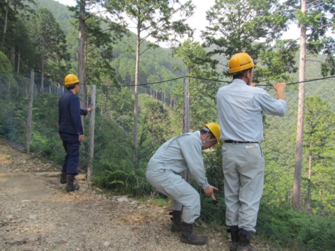 シカ侵入防止柵の構造を確認する森林組合の職員