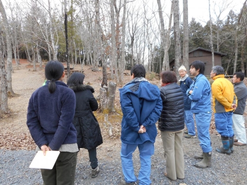 キャンプ場内の被害木の確認