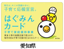 はぐみんカード(愛知県)