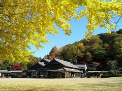 多気町油田公園秋の写真