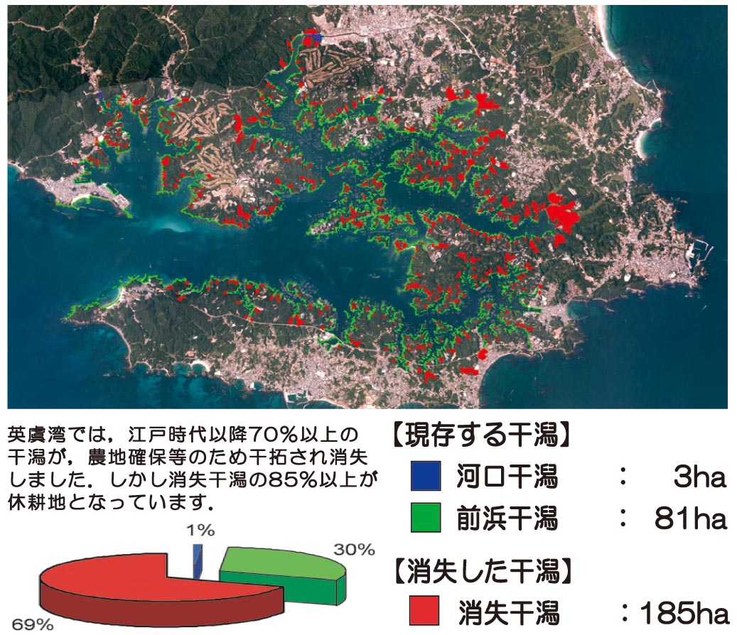 干潟面積の変化