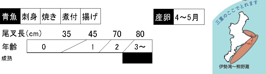 ブリの調理法、成長、産卵時期、三重県での漁場の説明