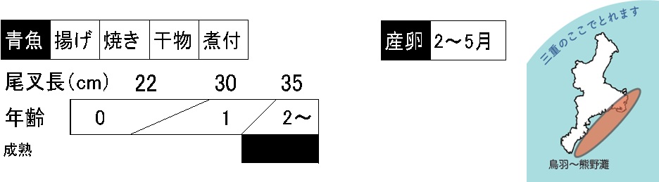 ゴマサバの調理法、成長、産卵期、三重県内の漁場の説明