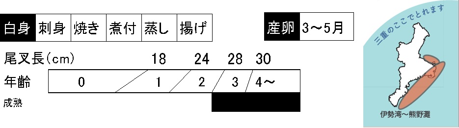 マダイの調理法、成長、産卵時期、三重県内の漁場の説明