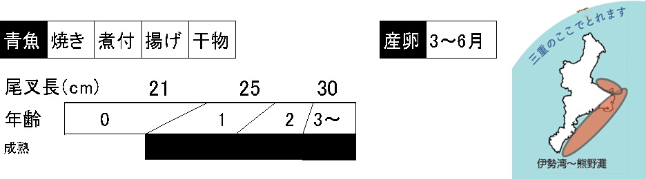 マサバの調理法、成長、産卵期、三重県内の漁場の説明