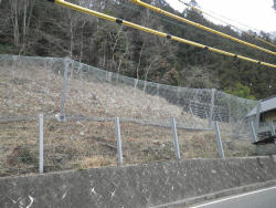 松阪青山線の写真