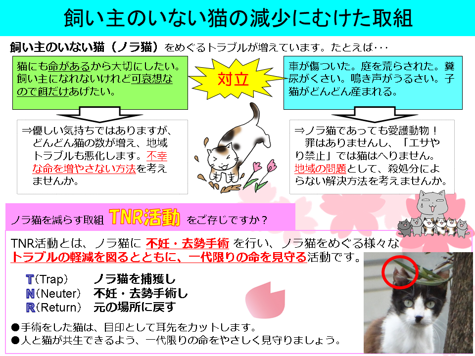 飼い主のいない猫の減少に向けた取り組み 画像２