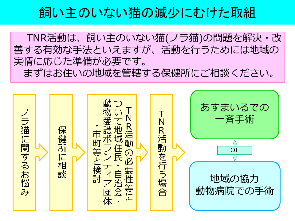 中央揃え