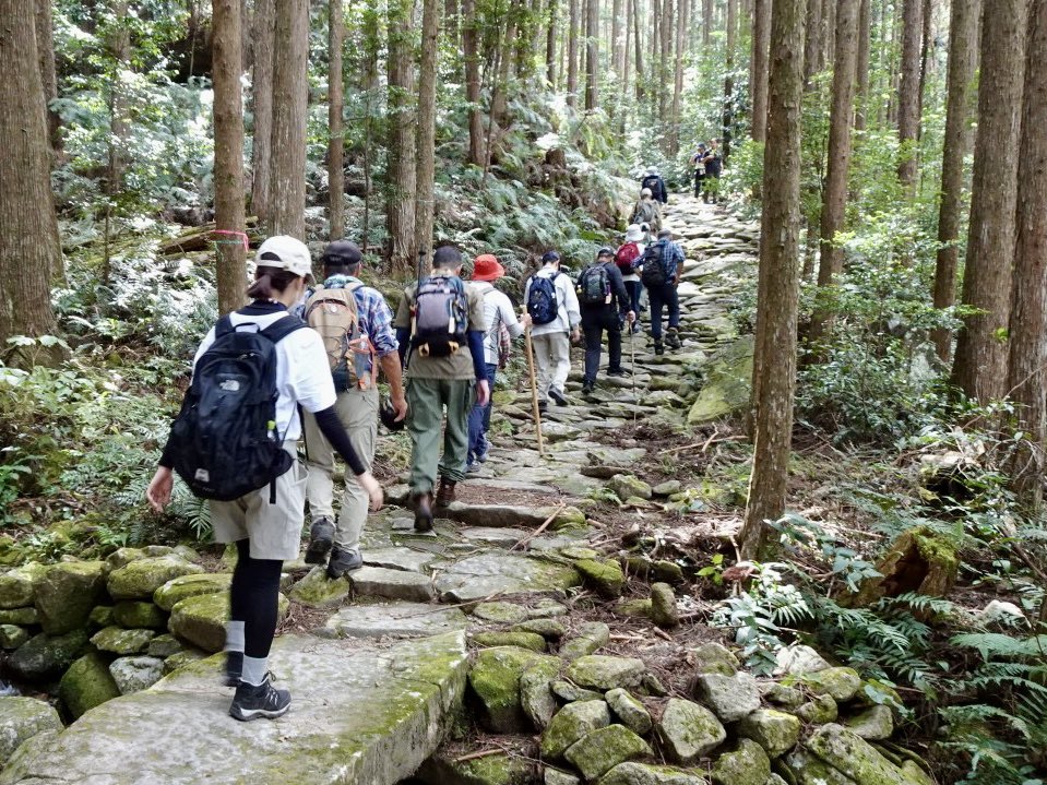 活動の様子（熊野古道歩き）