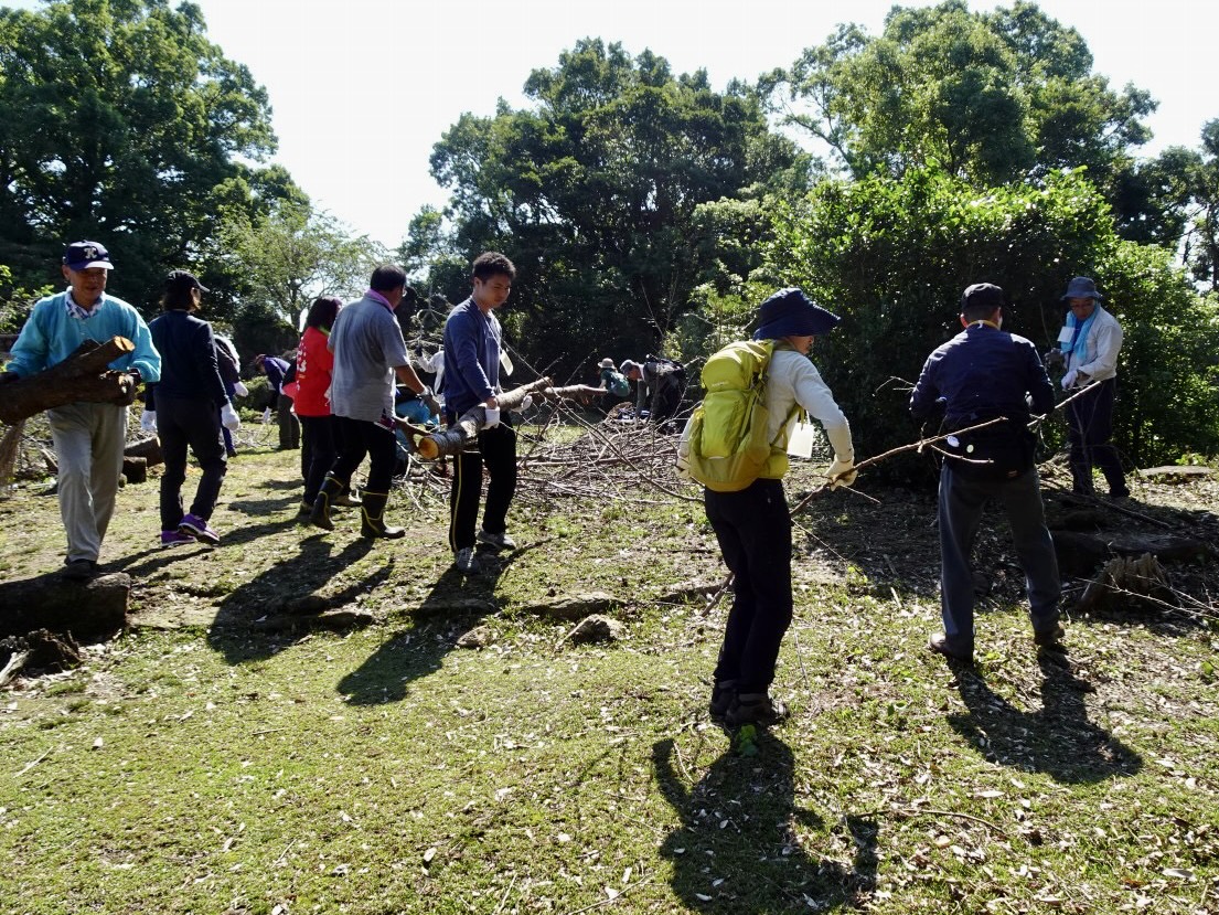 活動の様子（倒木の処理）