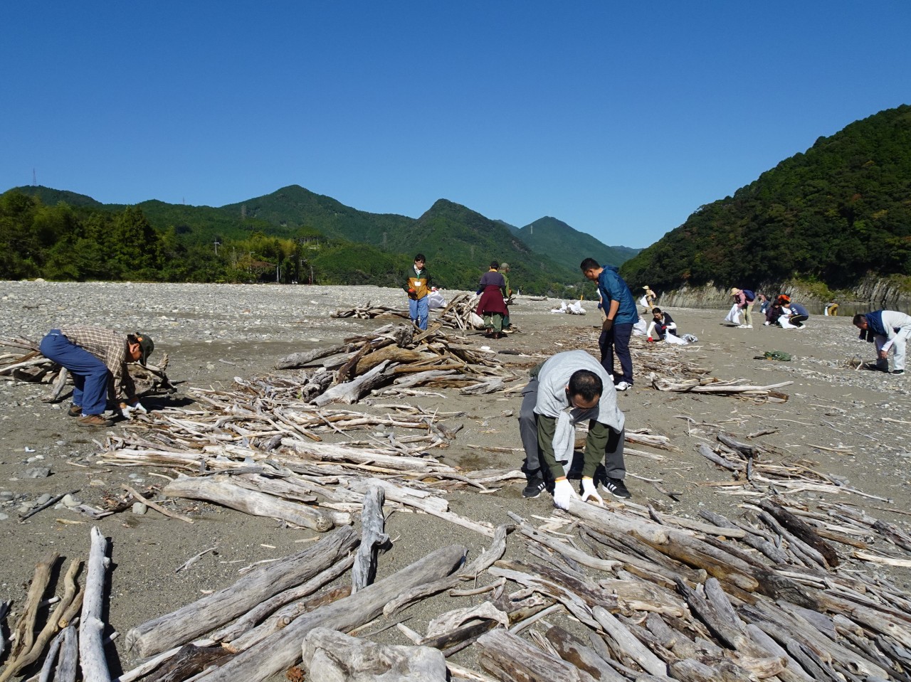 活動の様子（流木拾い①）