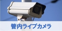 管内ライブカメラ