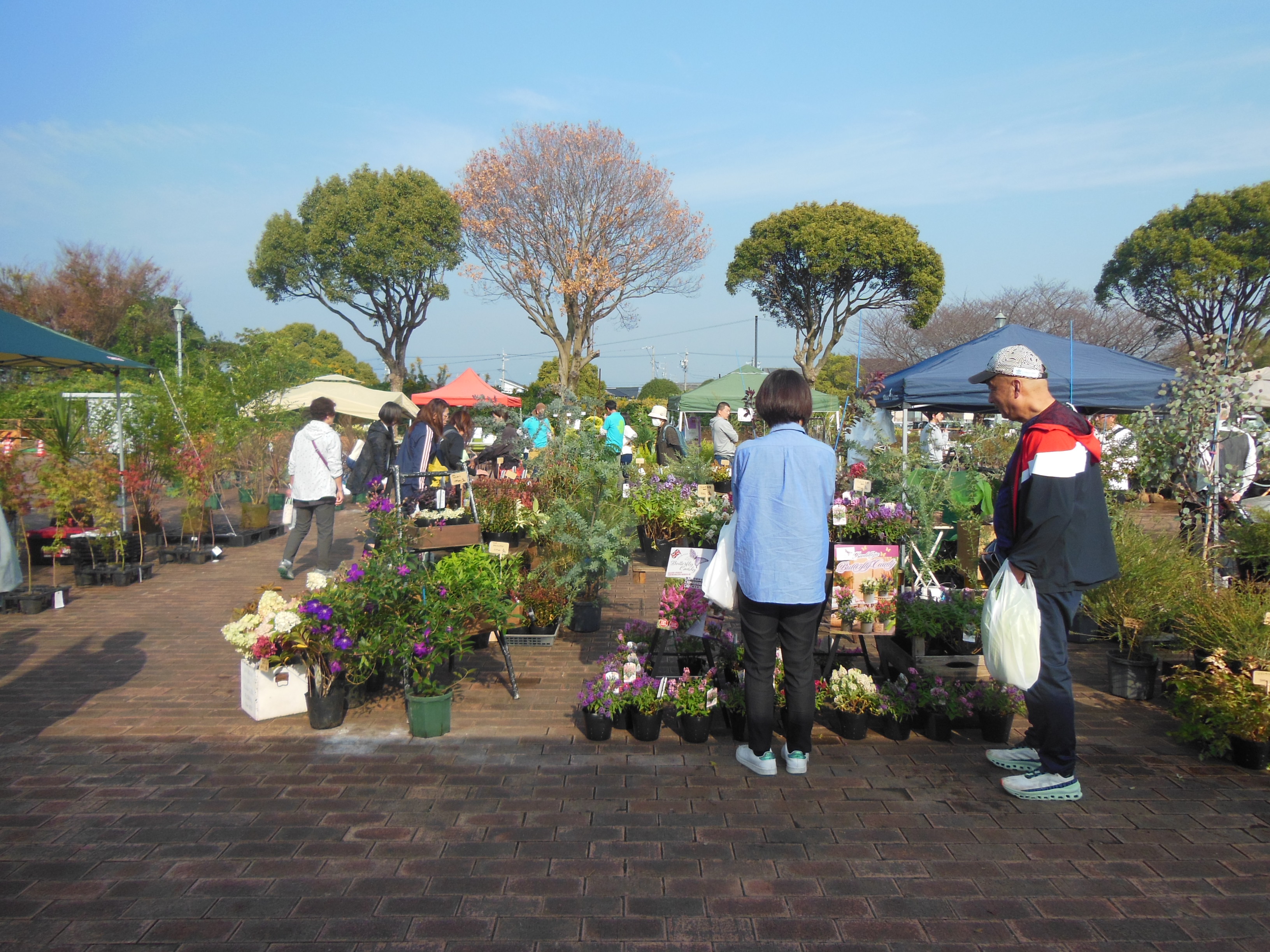 三重県植木まつり