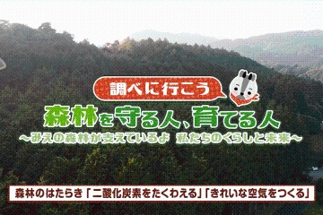 小学６年生理科　調べ２　二酸化炭素をたくわえる　きれいな空気をつくる