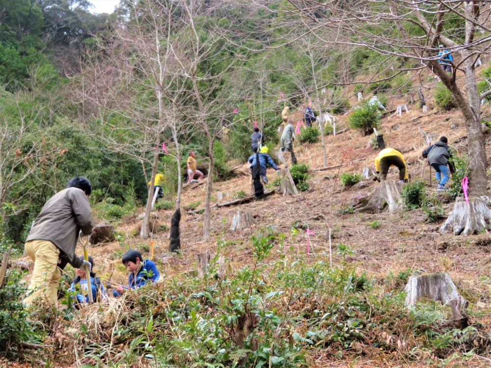 第２５回下河内山林への植樹活動