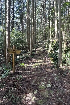 知られざる熊野探訪ツアー「風の峠、二か所への旅」