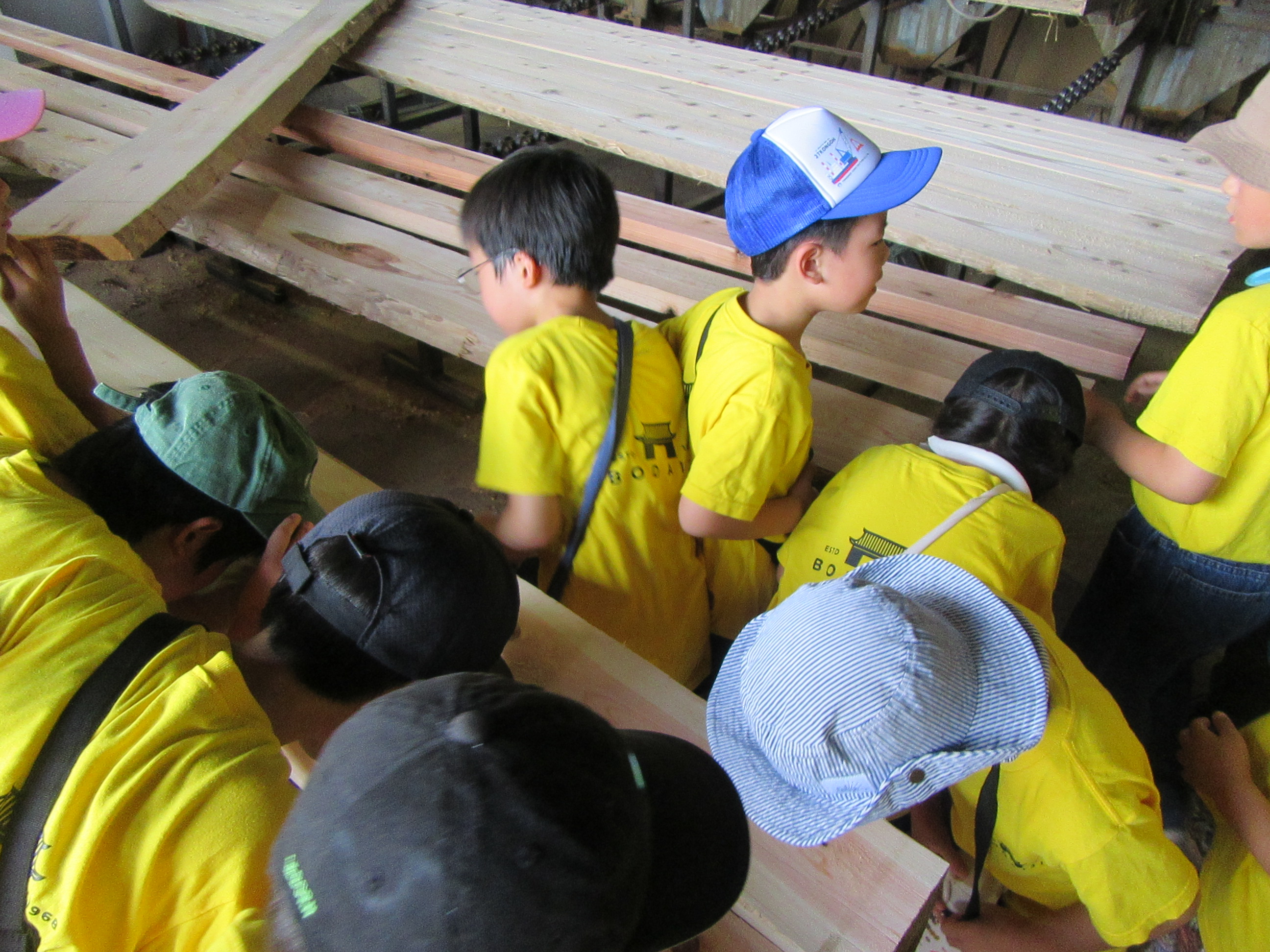 1グループに複数の画像を表示1