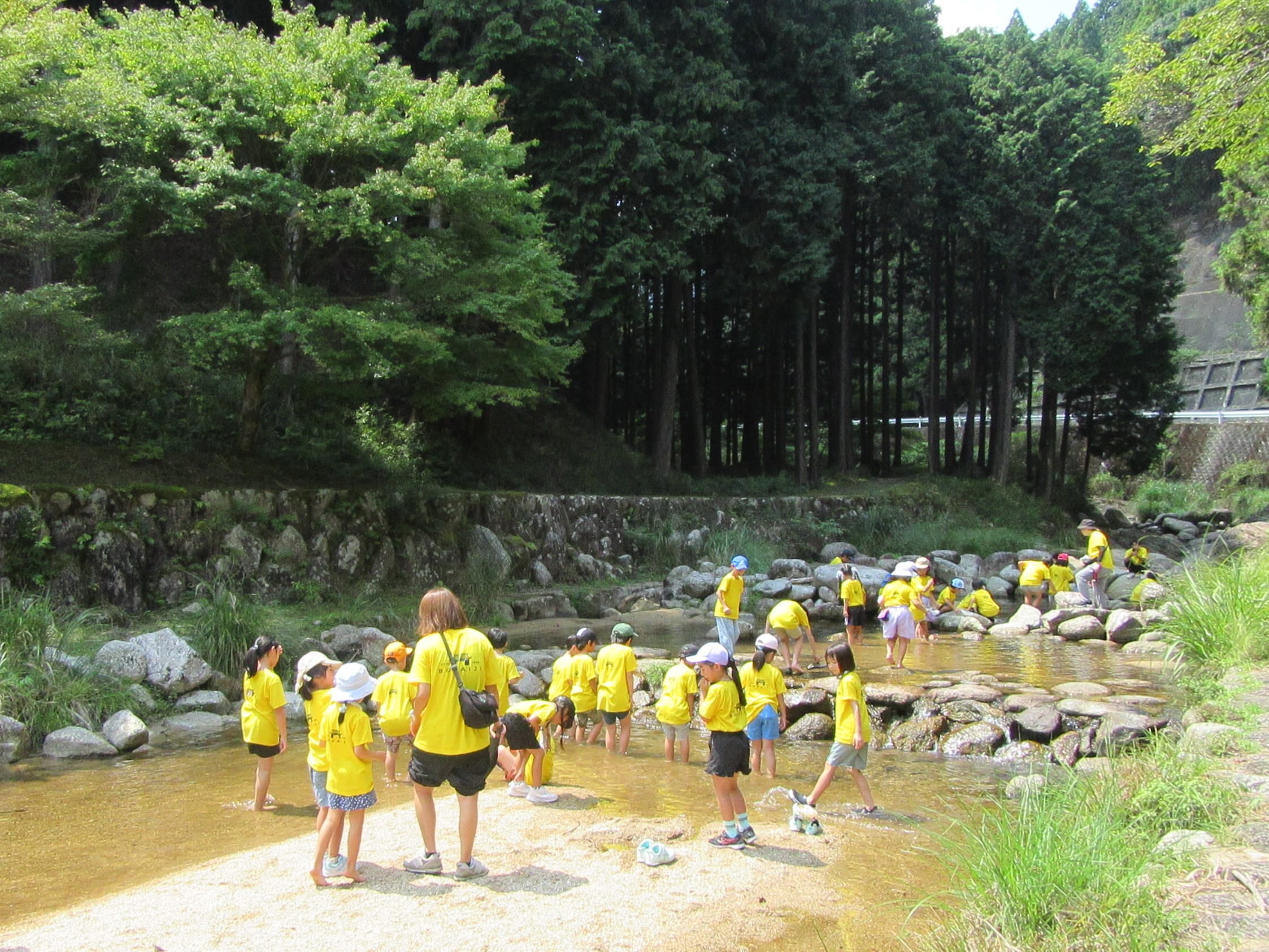 1グループに複数の画像を表示3