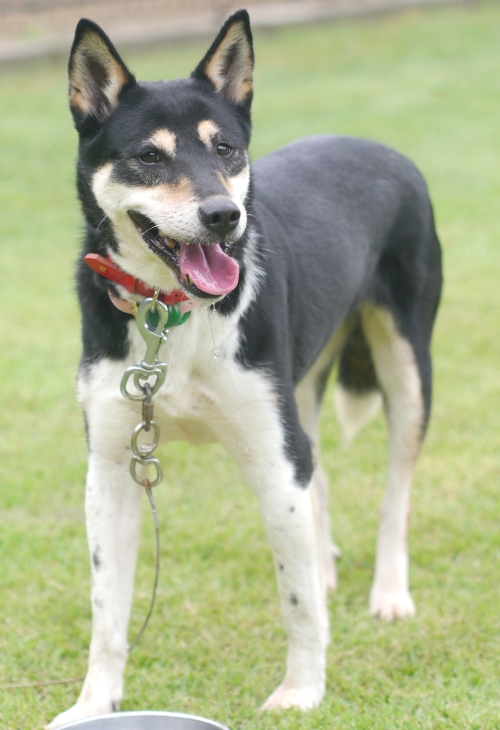 左寄せパターン