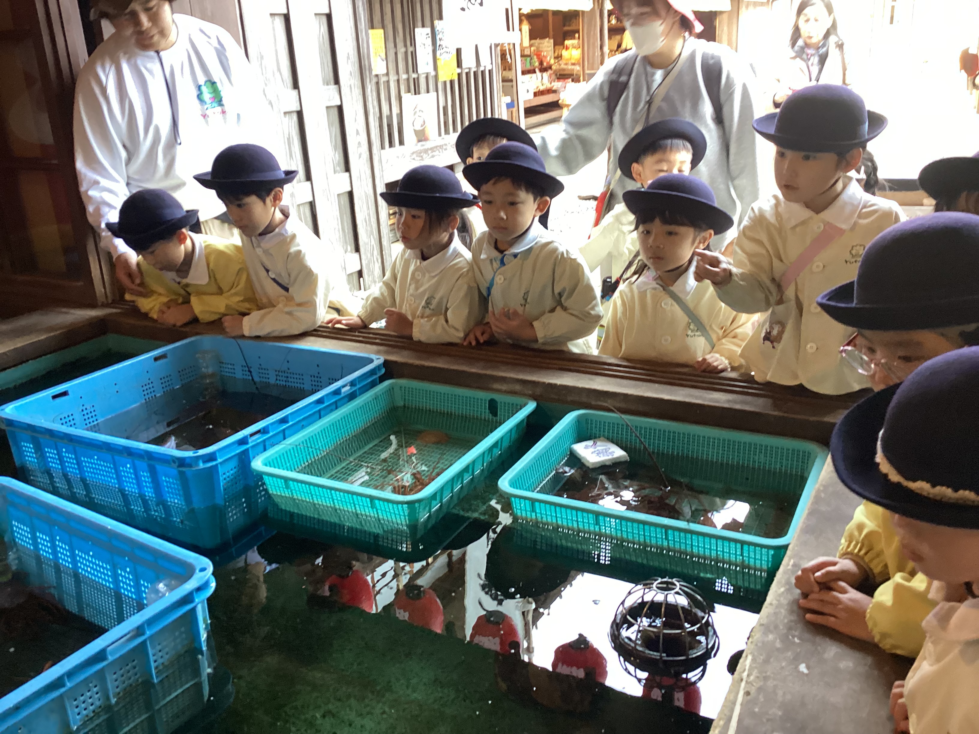 1グループに複数の画像を表示1