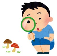 イラスト：くまの自然科学教室①「キノコ観察会」