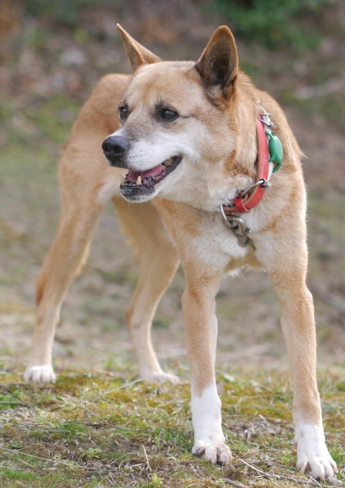 左寄せパターン