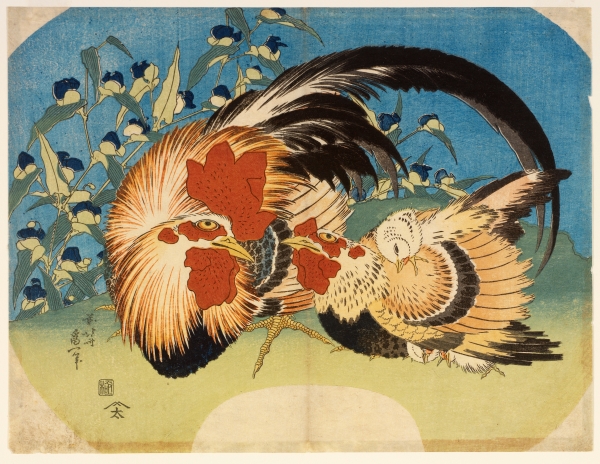 葛飾北斎《露草に鶏》1832（天保3）年頃　RISD美術館蔵 