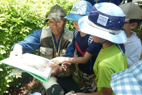 サムネイル：森の学校「初夏のいきものと自然観察」様子