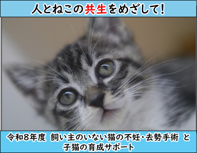 R8クラウドファンディング「飼い主のいない猫の不妊・去勢手術と子猫の育成サポート」最後のお願い