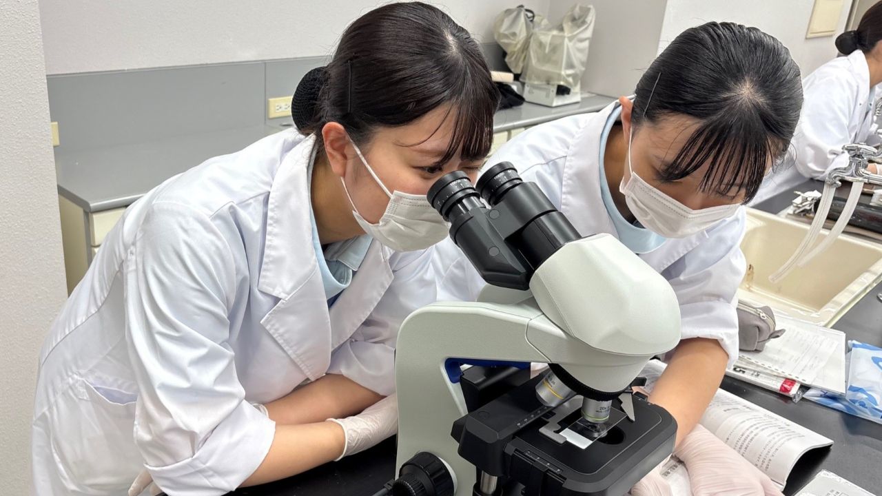 教育用顕微鏡を使用した実習の様子