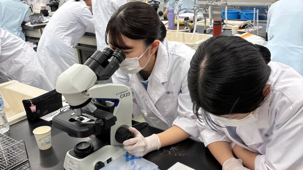 教育用顕微鏡を使用した実習の様子